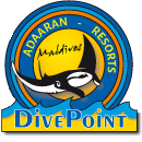 DivePoint Maldives - Dive with friends